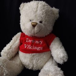 Downey Vikings Teddy Bear 
