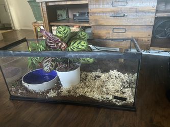 20 Gallon (long) Aquarium 