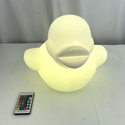 LED Glowing Floating Portable Duck Speaker Multi Color 