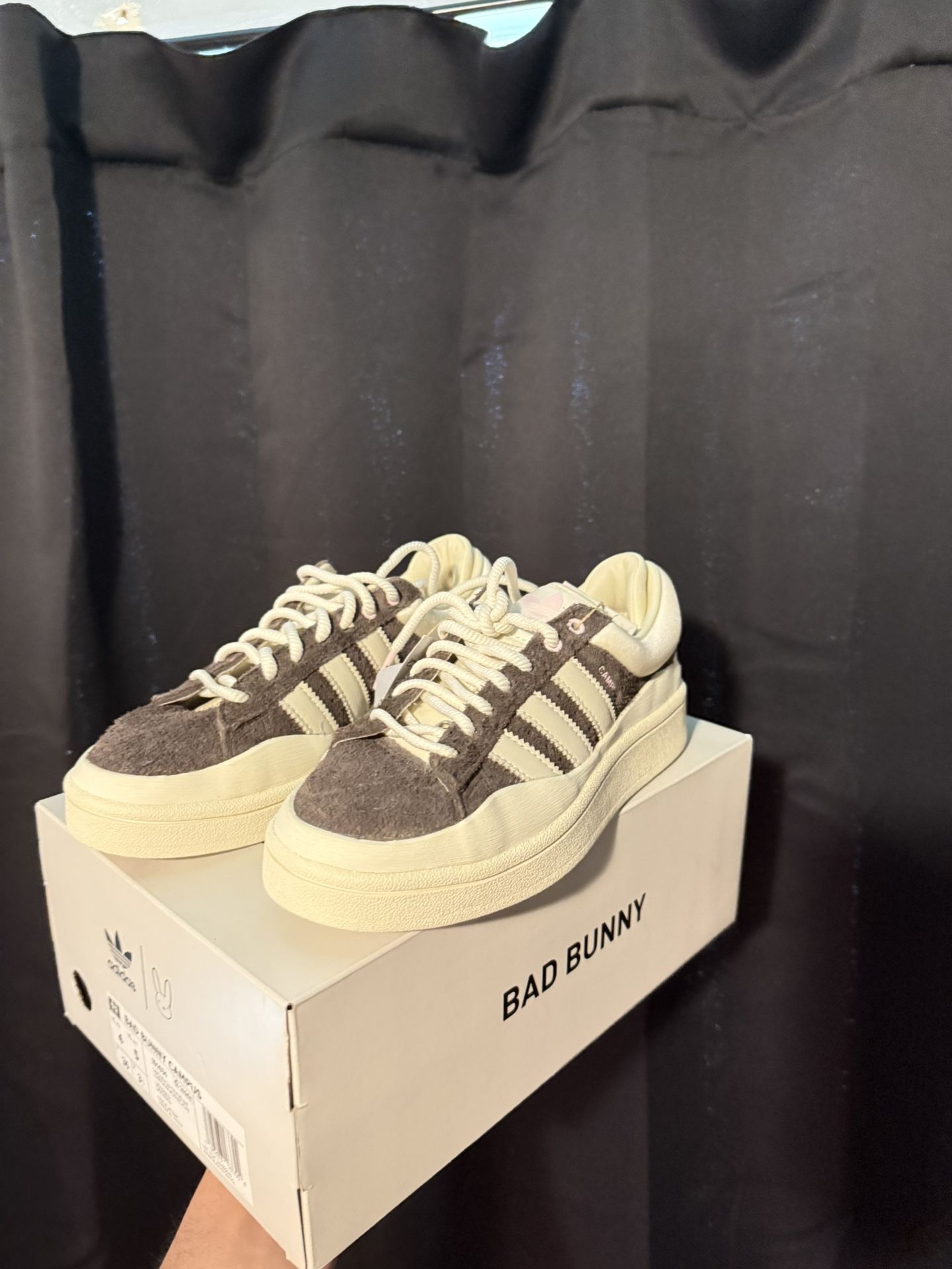 Bad Bunny Campus Adidas