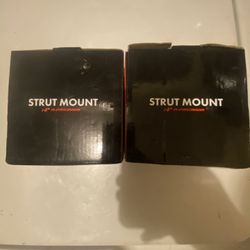 Strut Mounts