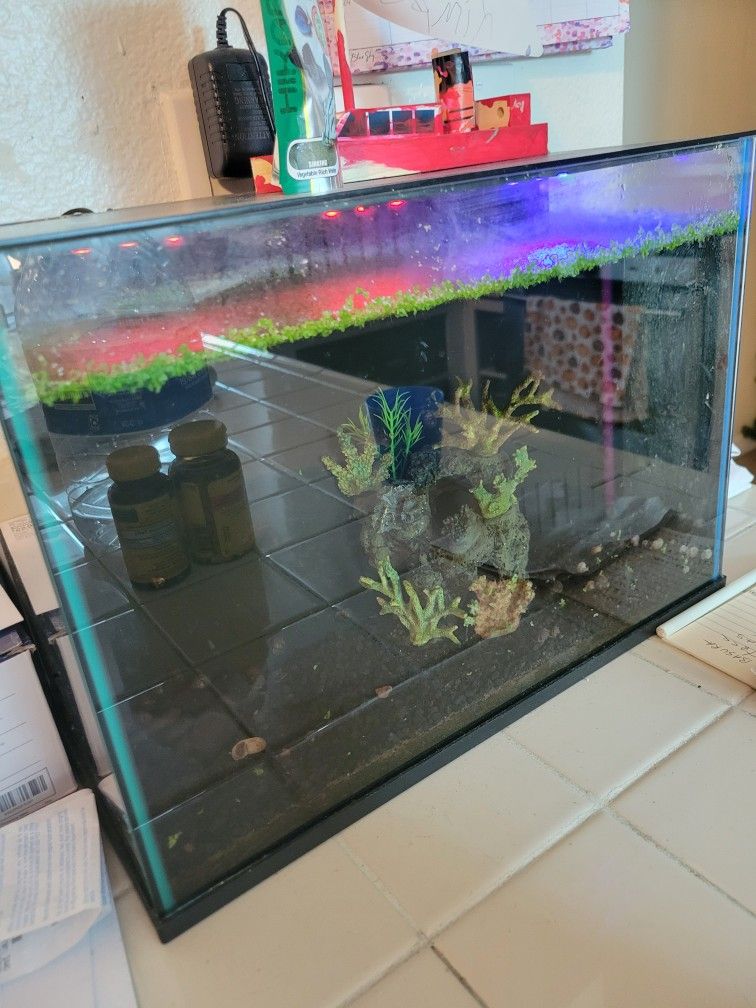 LED Aquarium