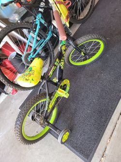 Ninja Turtle Bike With Training Wheels