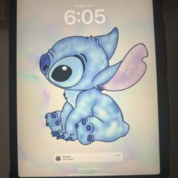 12.9 iPad Pro 3rd Generation 2018/2019 
