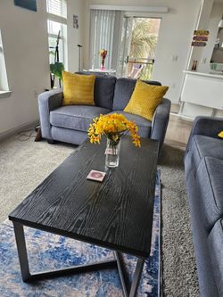Blue Living Room set Must Go!
