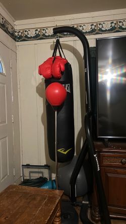 Heavy Bag / punch ball