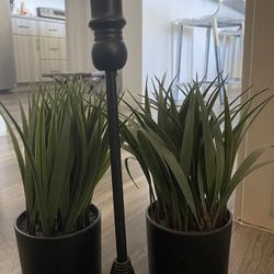 Candle Stick holder And Decorative Plants 
