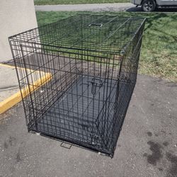 Large Dog Kennel 