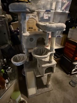 Cat house
