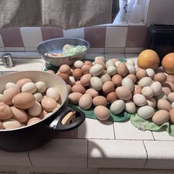 Future scramble eggs