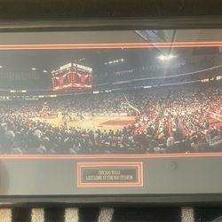 Chicago Bulls