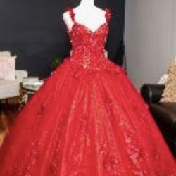 Quinceanera Dress/ Sweet 16 Dress