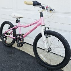 20 inch Multi speed RALEIGH LILY Aluminum MTB ReadyToRide