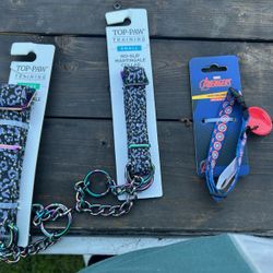 Dog Collars 