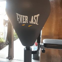 Speed Bag And Ab Machine 