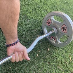 50 Pound Tricep Curl Bar With Clamps 