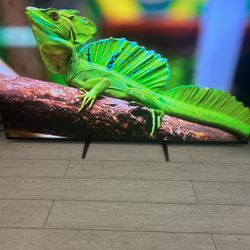 77” SONY - 4K OLED - GOOGLE SMART TV - K-77XR80