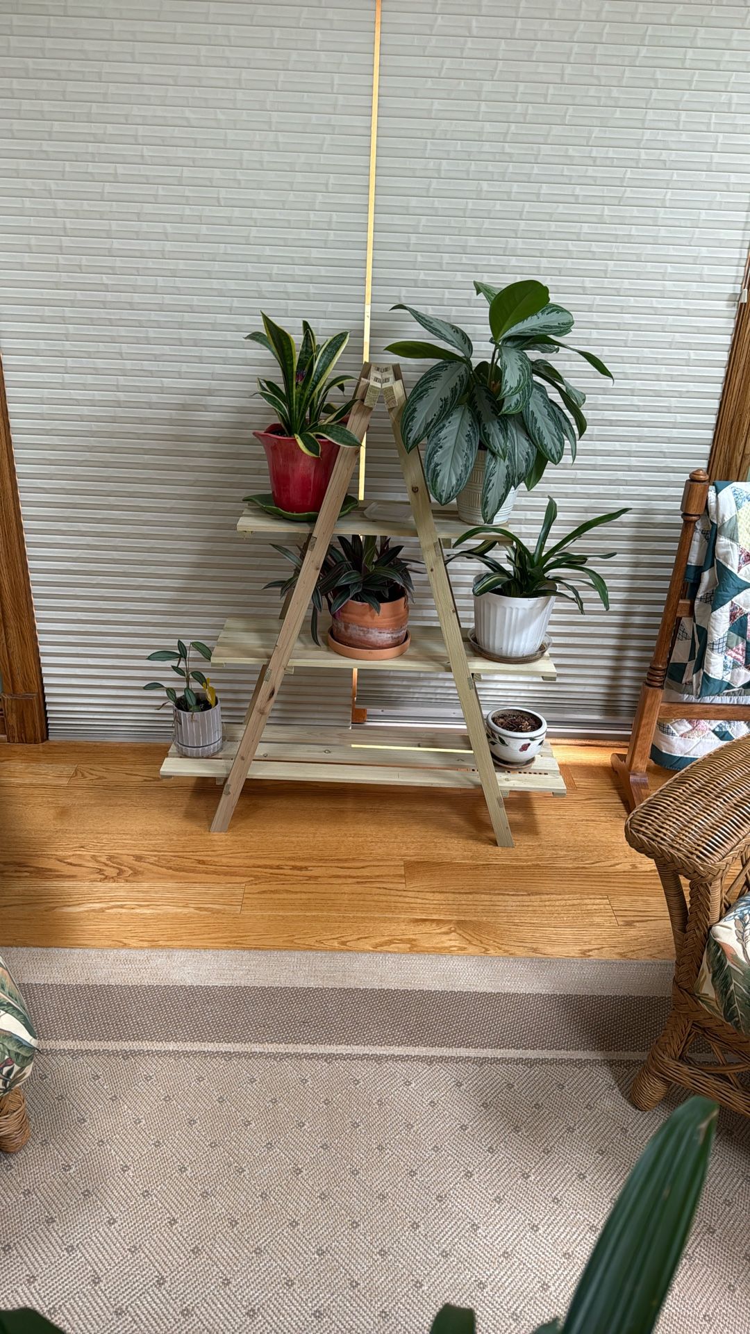 plant stand