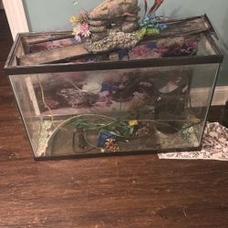 Fish Tank And Filter. Come Get It !!