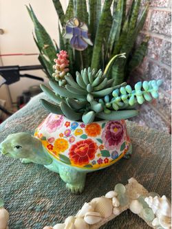 Turtle decor