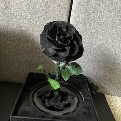 REAL!! PRESERVED NATURAL ROSE