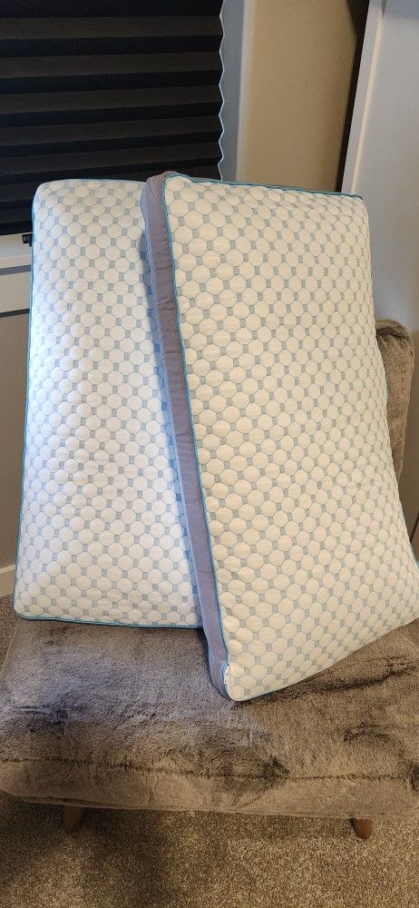 Maloof Dualtech Chill Pillows