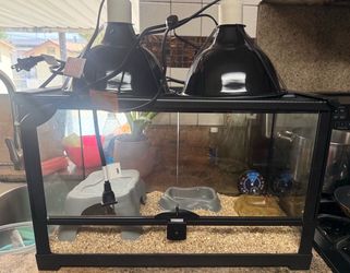 Reptile tank