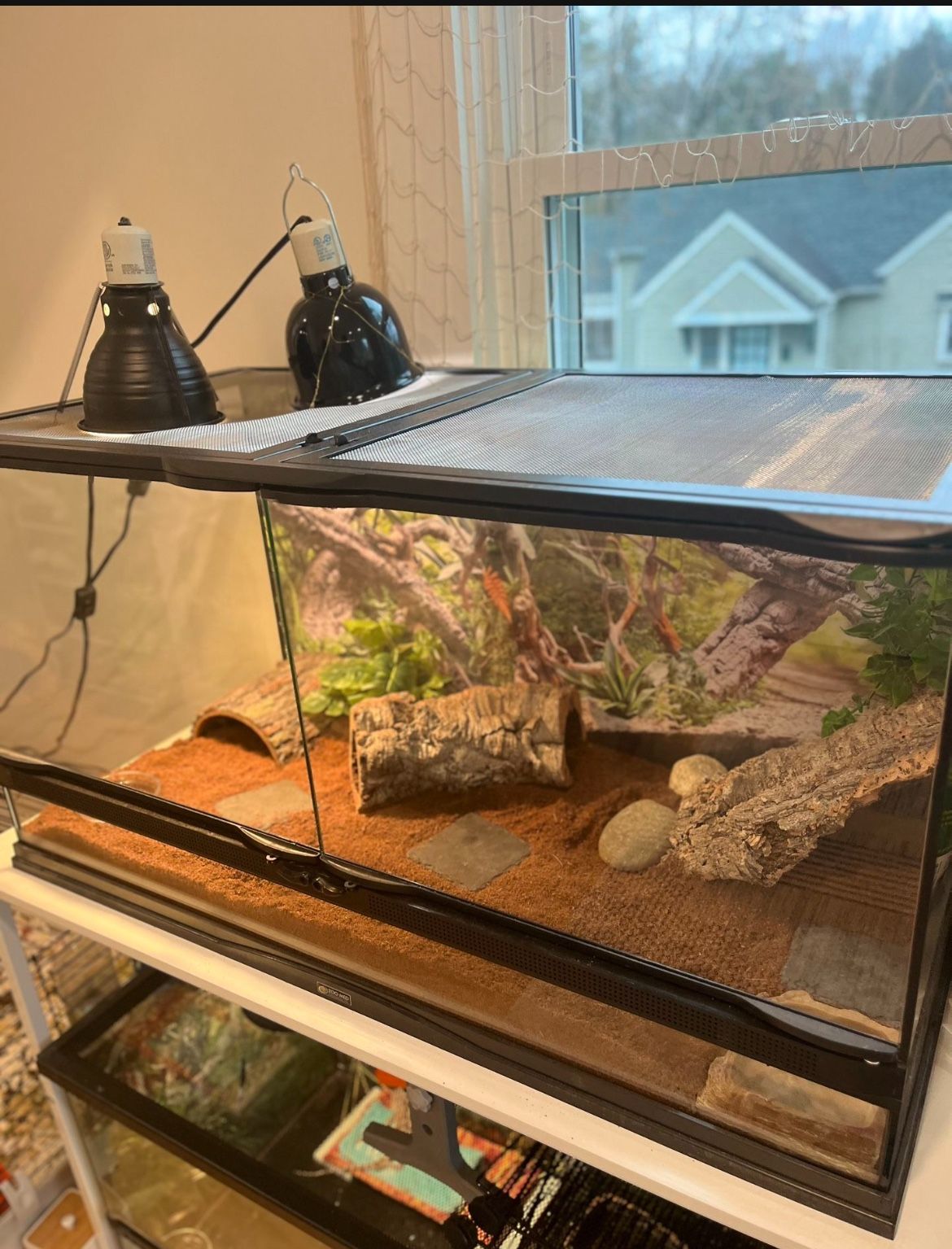 40 Gallon Reptile Tank