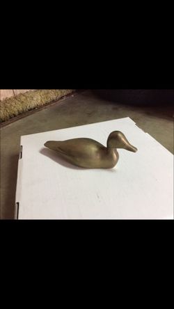duck