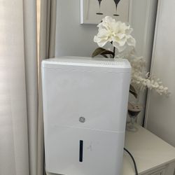 Dehumidifier 