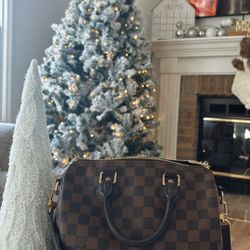 Louis Vuitton, Speedy 25 comes with dust bag