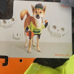 Dog Halloween costume