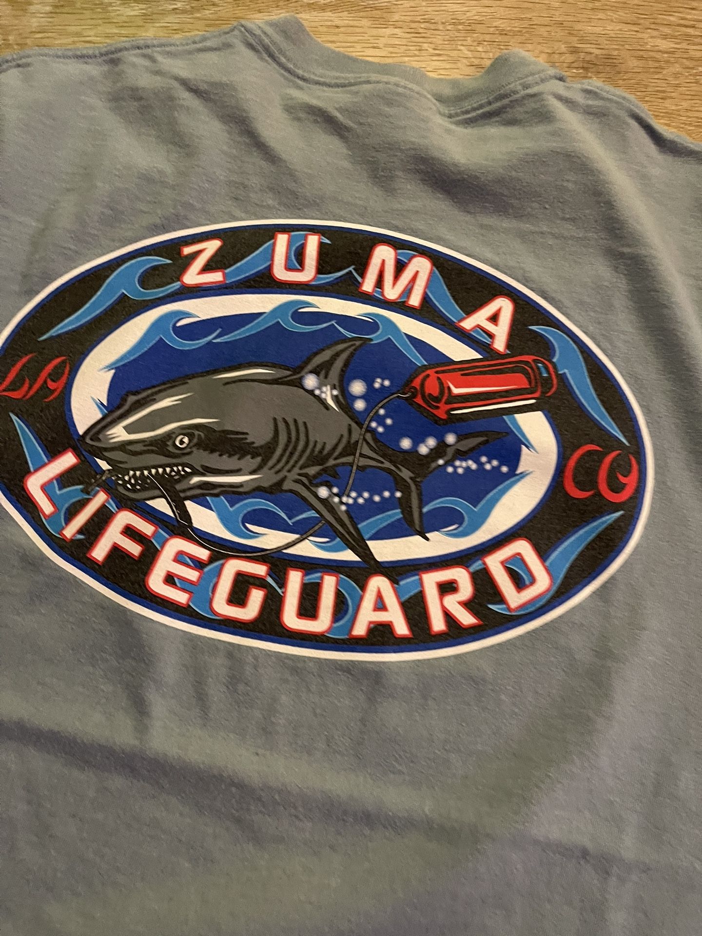 Shark with Tank Zuma Life Guard Hanes Beefy XL