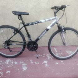 Mountain Bike Raiders 