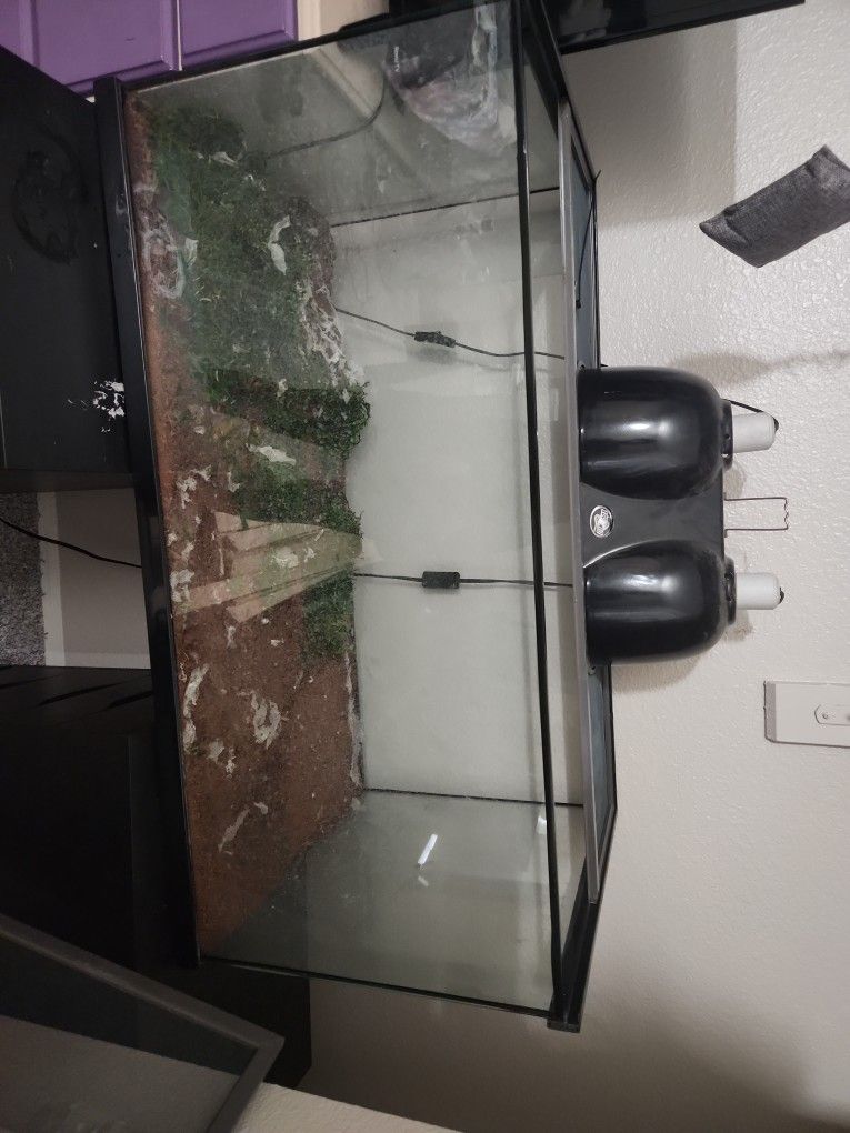 40gal Reptile Tank. With Lights