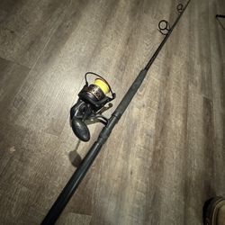 Penn Salt Water Fishing Combo. Ready To Go. 