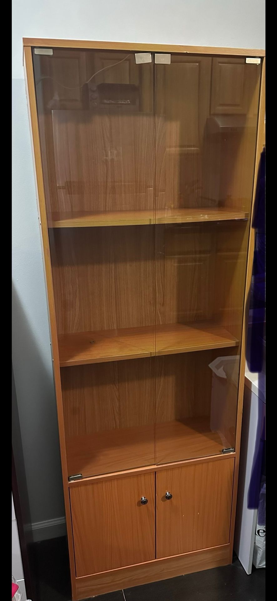 Glass Door Storage Canibet