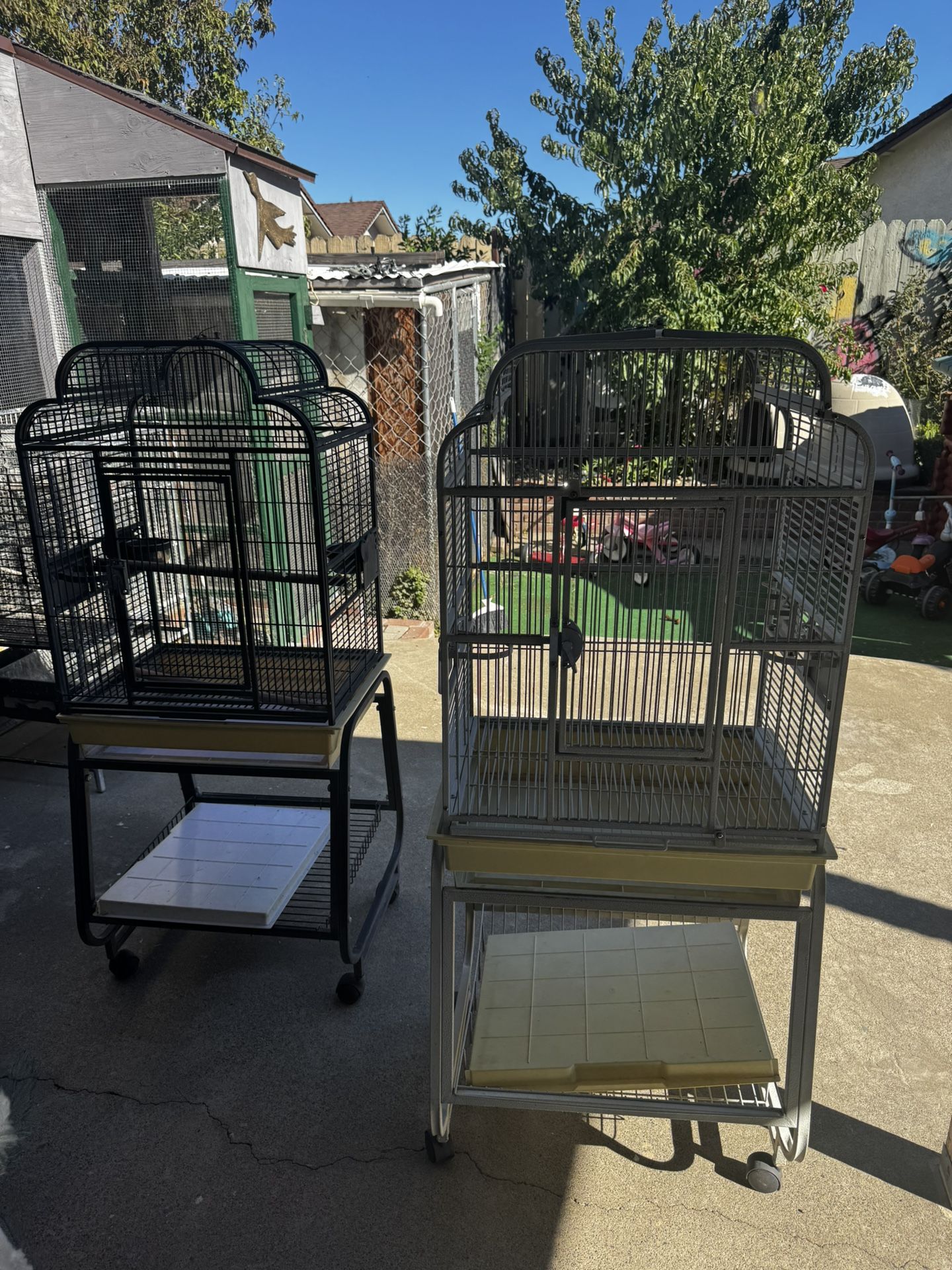 Bird Cages