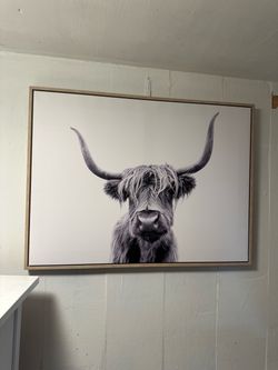 Picture Canvas