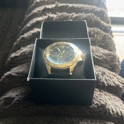 Midnight Royal Black & Gold Watch