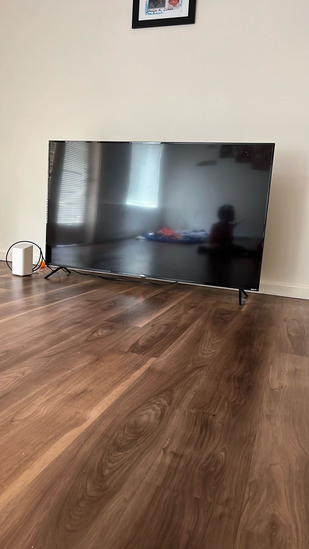 Roku tv