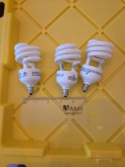 CFL Spiral Light Bulbs Candelabra Base Set of 3