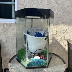 40 Gal Hexagon Fish Tank