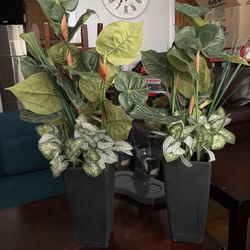 2 Artificial Plants