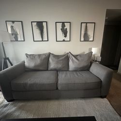 Couch/Sofa