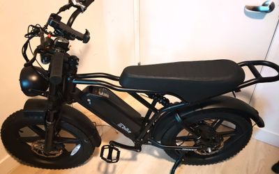 TST® Combo Sale R002 20" Full Suspension Moped-Style Ebike