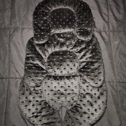 Infant Carseat Insert