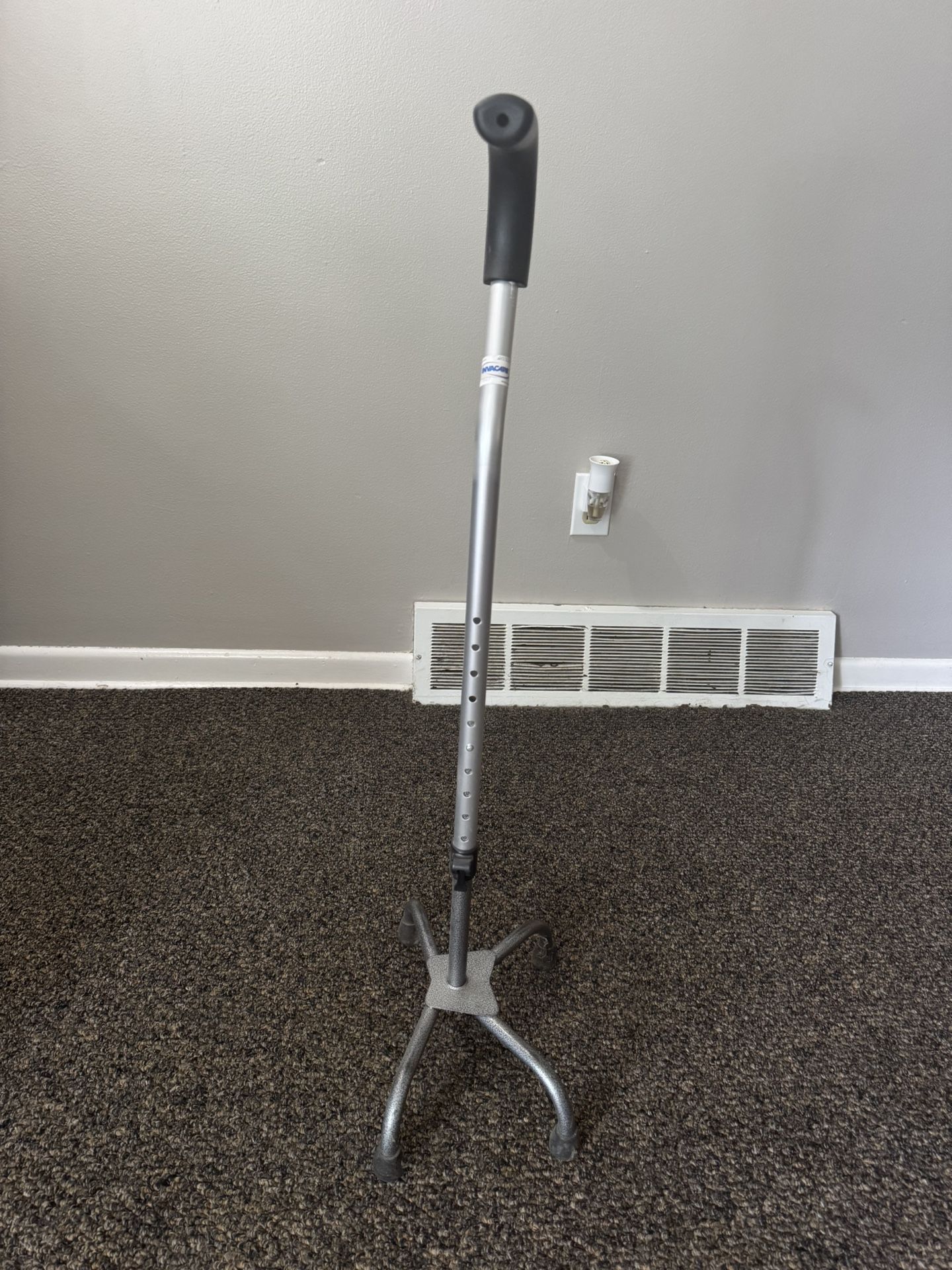 Walking cane