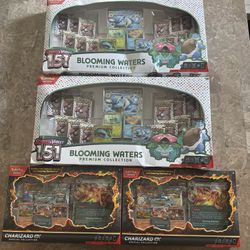 Pokemon Card Lot