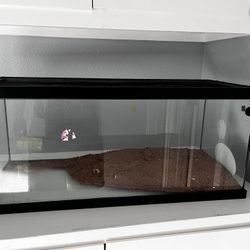 Reptile Tank 